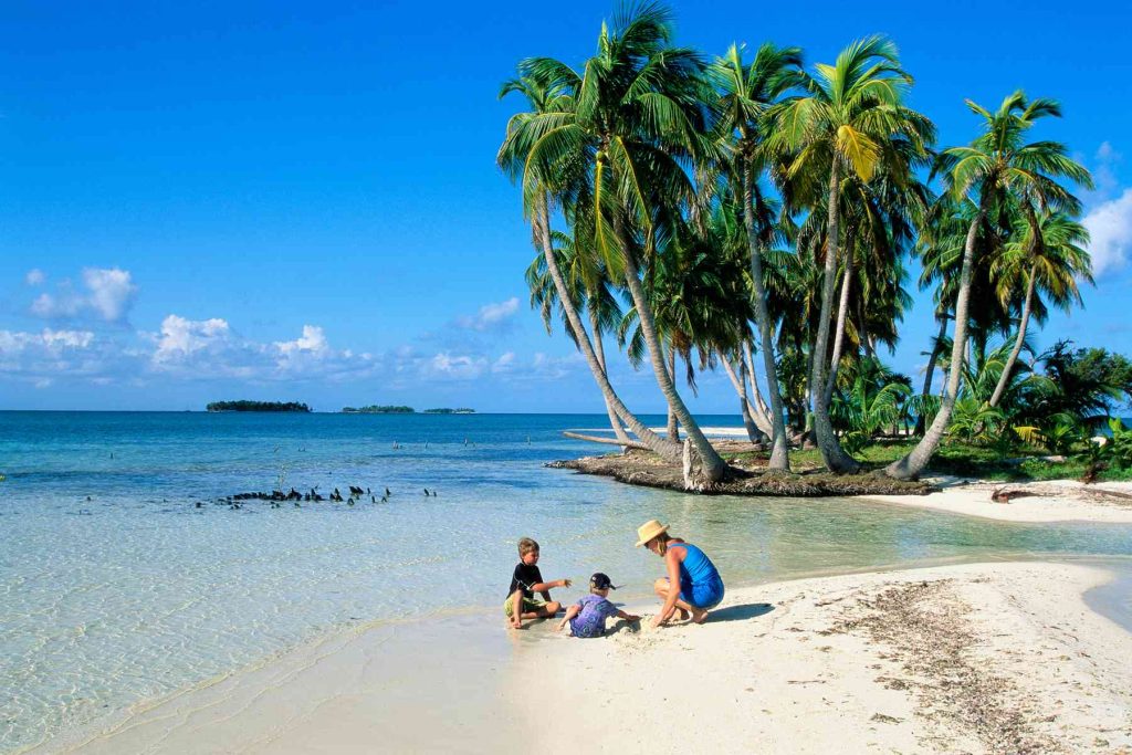 A family sitting on the beach near some palm trees