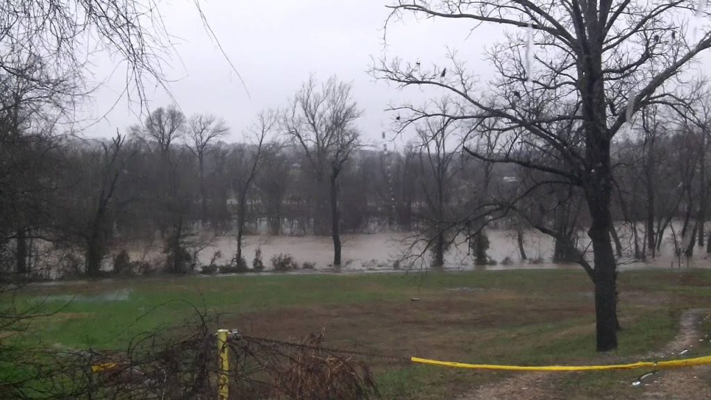 A flooded field with trees and power lines in the background.