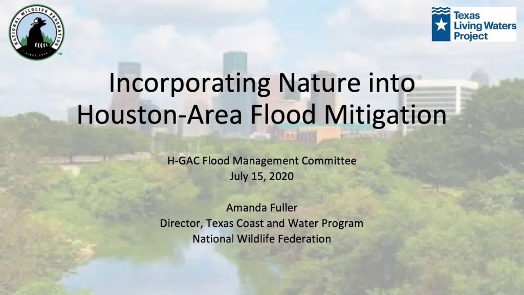 A presentation about the houston flood mitigation project.