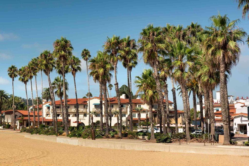 A beach with many palm trees and buildings