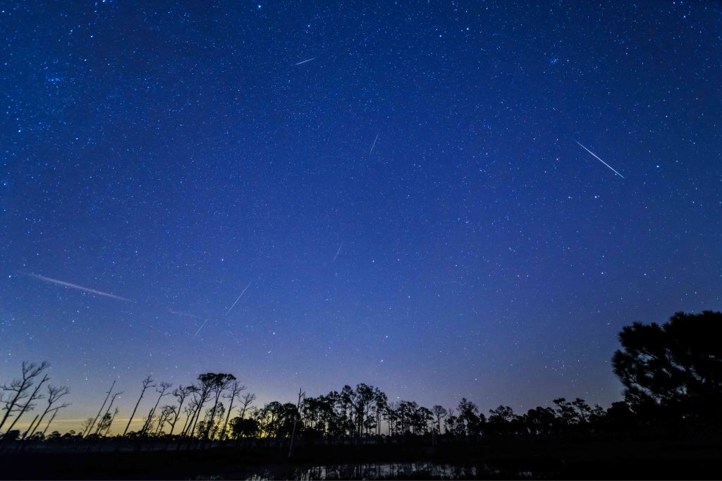 A night sky with trees and stars in the background