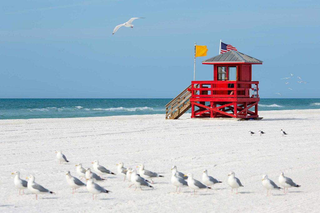 A red lifeguard tower on the beach with seagulls.