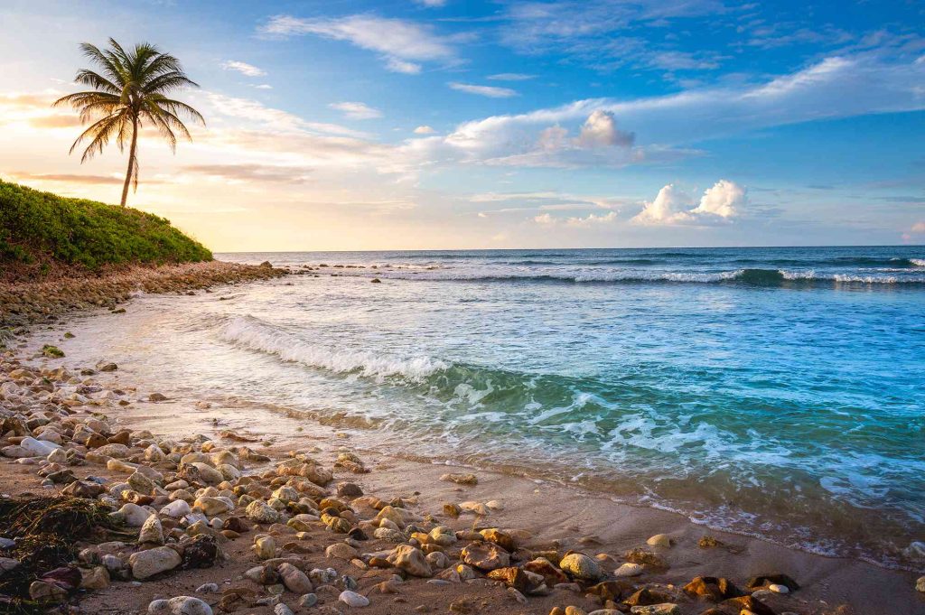 A beach with waves crashing on it and palm trees in the background.