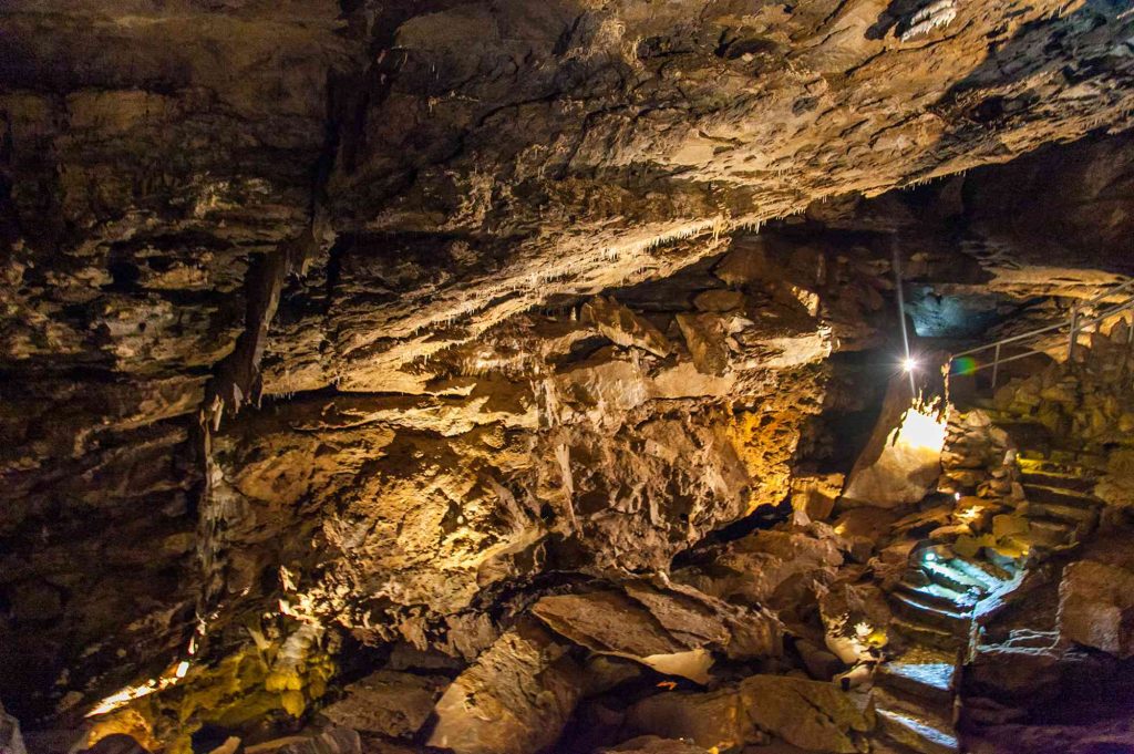 A cave with many rocks and trees in it