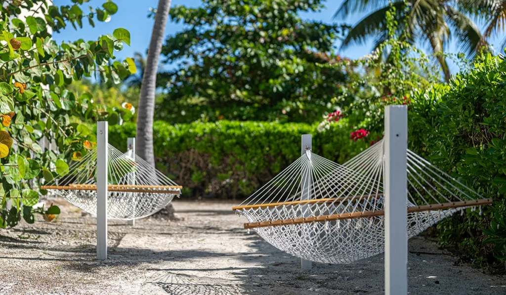 A couple of white hammocks on top of a sandy beach.