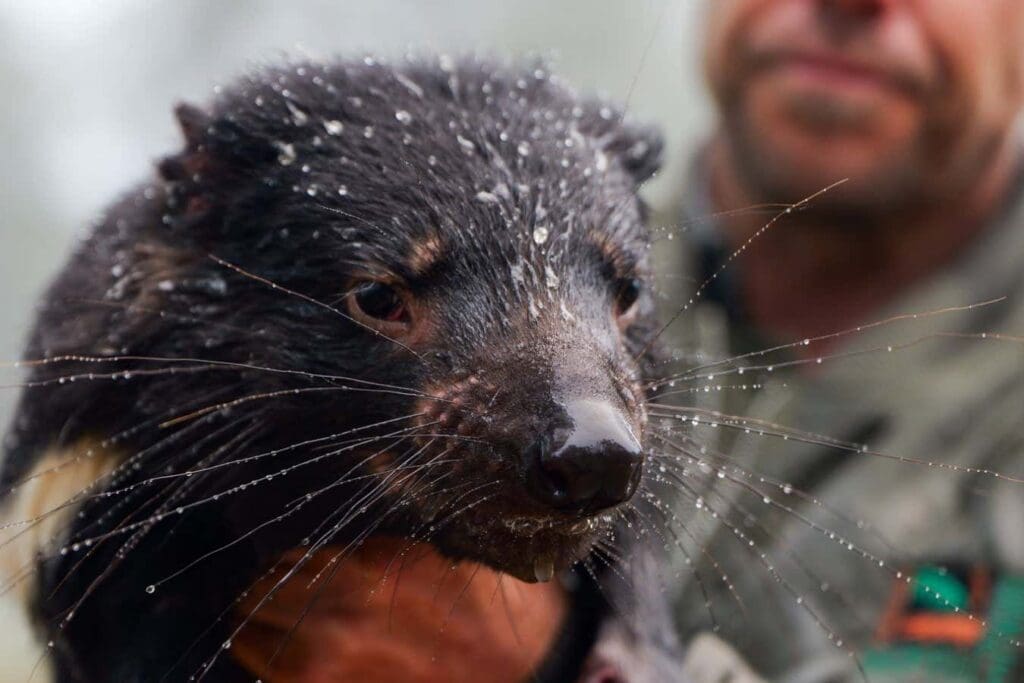 Flash floods sweep through vital sanctuary for Australian animals