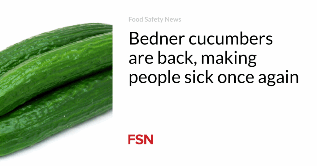 Bedner cucumbers are back, making people sick once again