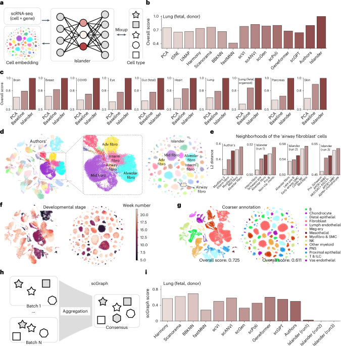 Limitations of cell embedding metrics evaluated utilizing wandering islands Limitations of cell embedding metrics assessed using drifting islands