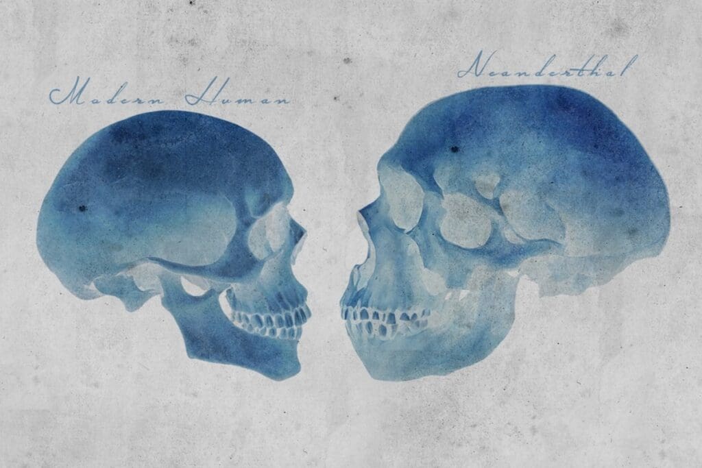 What Our World May Have Looked Like If Neanderthals Hadn't Died Off
