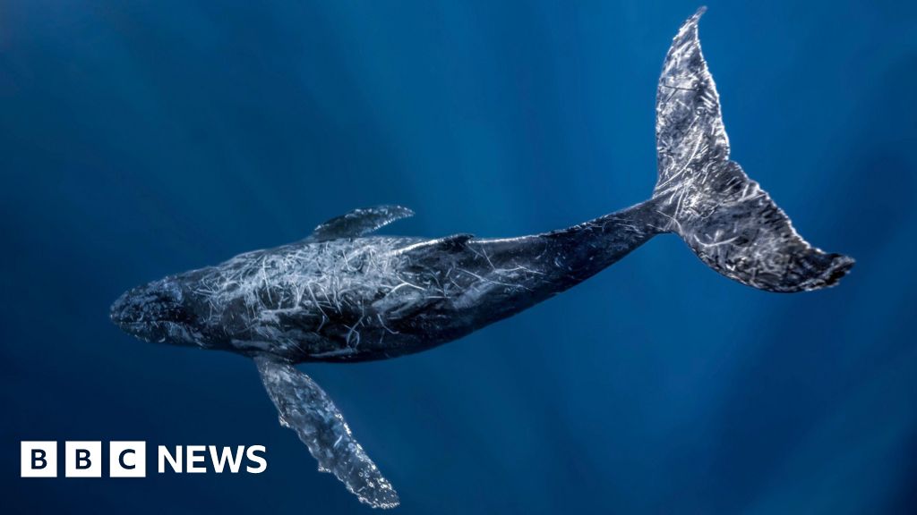 Seas can not come to be ‘wild west’, alerts UN principal Oceans cannot become 'wild west', warns UN chief