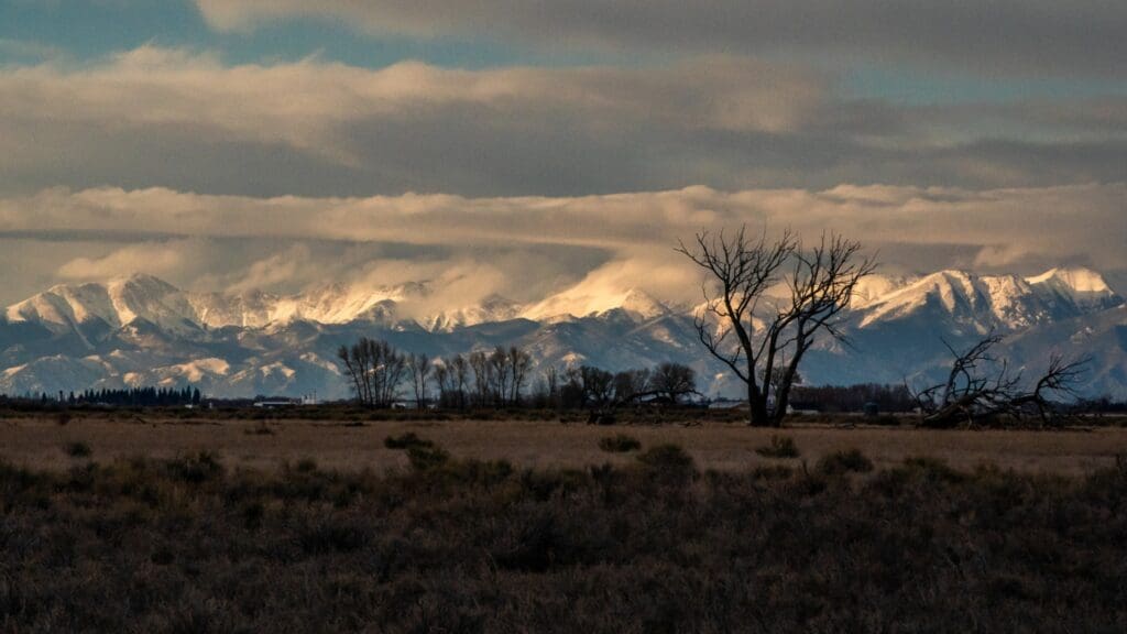 Snowy mountains with trees in foreground.