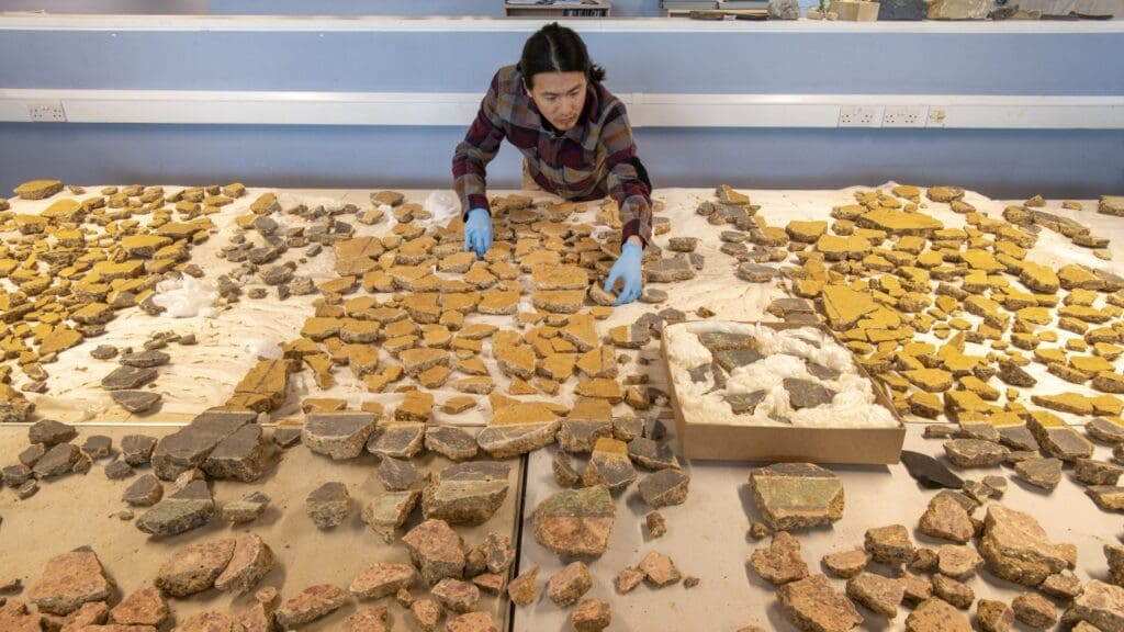 Person organizing ancient pottery fragments on table.