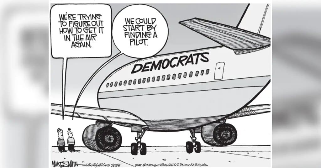 POLITICAL CARTOONS POLITICAL CARTOONS