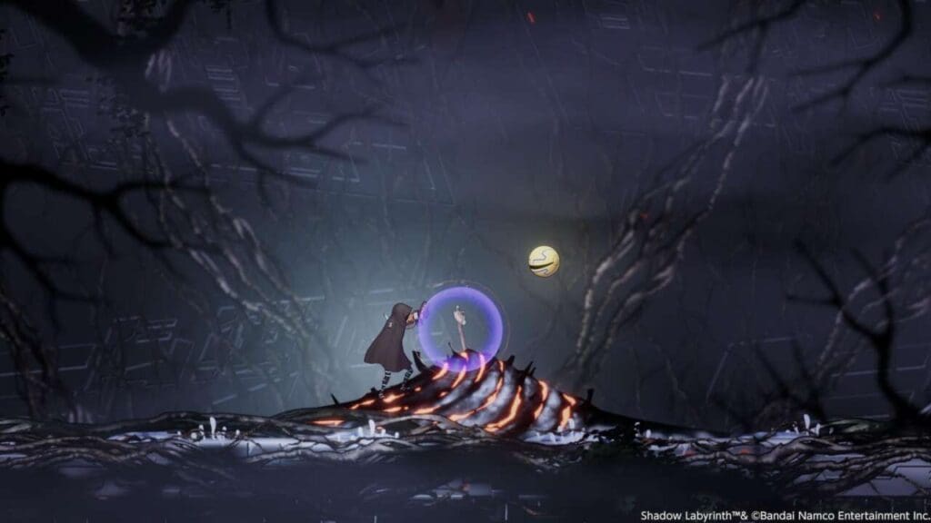 How To Get A Second HP Tank In Shadow Labyrinth