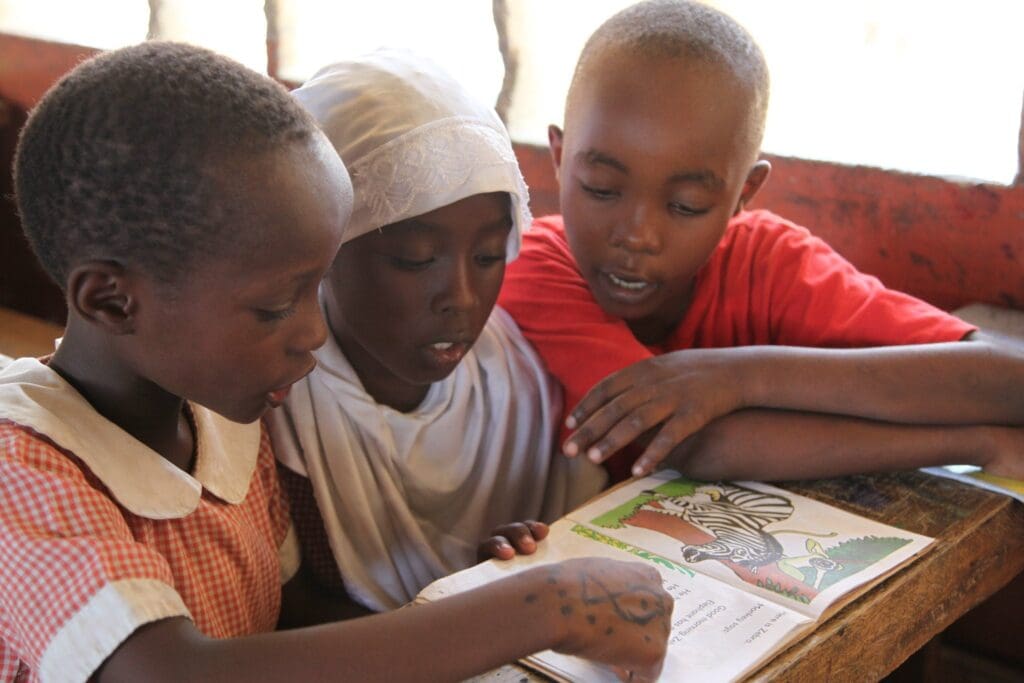 Top 10 African Countries with the Highest Adult Literacy Ra – Lex Pyerse Clothing Top 10 African Countries with the Highest Adult Literacy Ra – Lex Pyerse Clothing