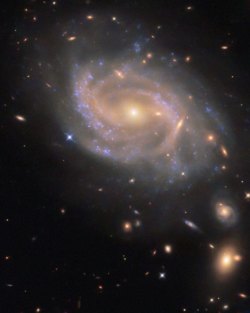 A spiral galaxy with a disk made of several swirling arms. Patchy blue clouds of gas speckle the disk where stars are forming and lighting the gas around them. The core of the galaxy is large and shines brightly gold, while the spiral arms are a paler and faint reddish color. Neighboring galaxies – from small, elongated spots to larger swirling spirals – are visible across the black background.