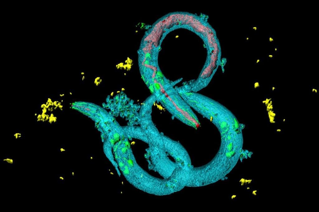 Exposure to microplastic makes animals want to eat it more