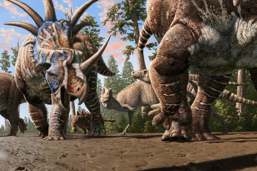 Remarkable set of tracks suggests different dinosaurs herded together