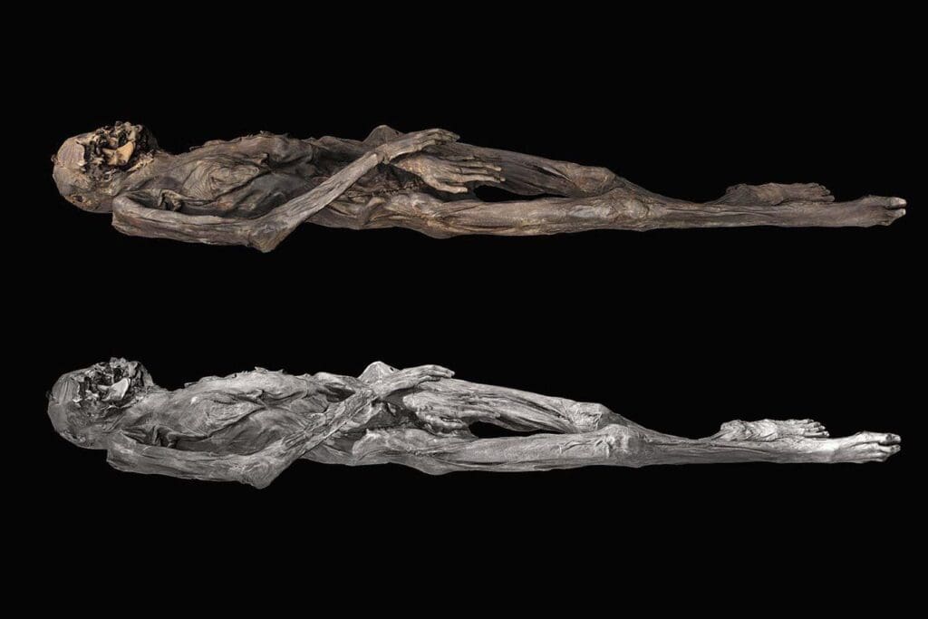 A 3D model of the tattooed mummy. The top image features textures derived from photographs that were captured using light visible to the human eye, while the bottom image