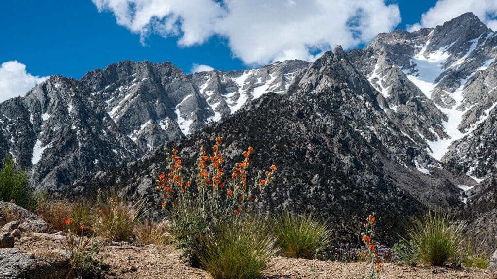 What State Has the Most Mountains in the U.S.? 8 Peak Records