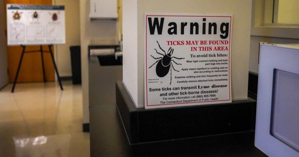 Scientists warn of invasive longhorned tick carrying debilitating Ehrlichiosis infection