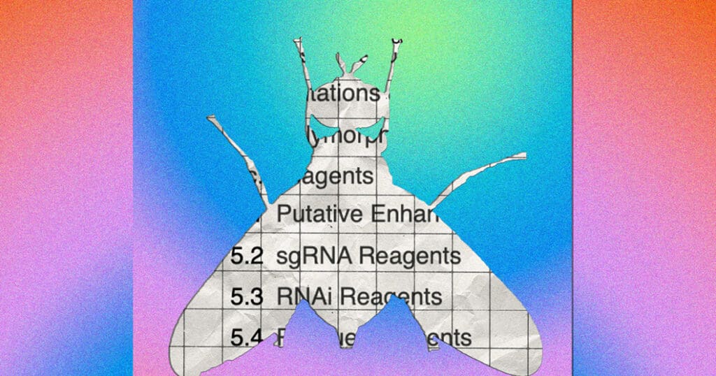 A database about the tiny fruit fly
