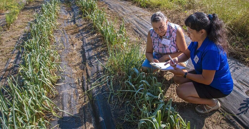 HBCU News - Agriculture Business Innovation Center at N.C. A&T to Kick Off with Two-Day Event