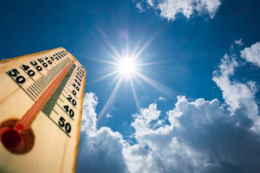 Scorching heat and dangerous fire conditions expected in Gauteng.