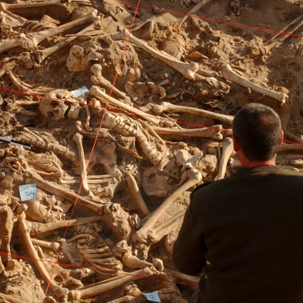 DNA reveals the diseases that devastated Napoleon's doomed army