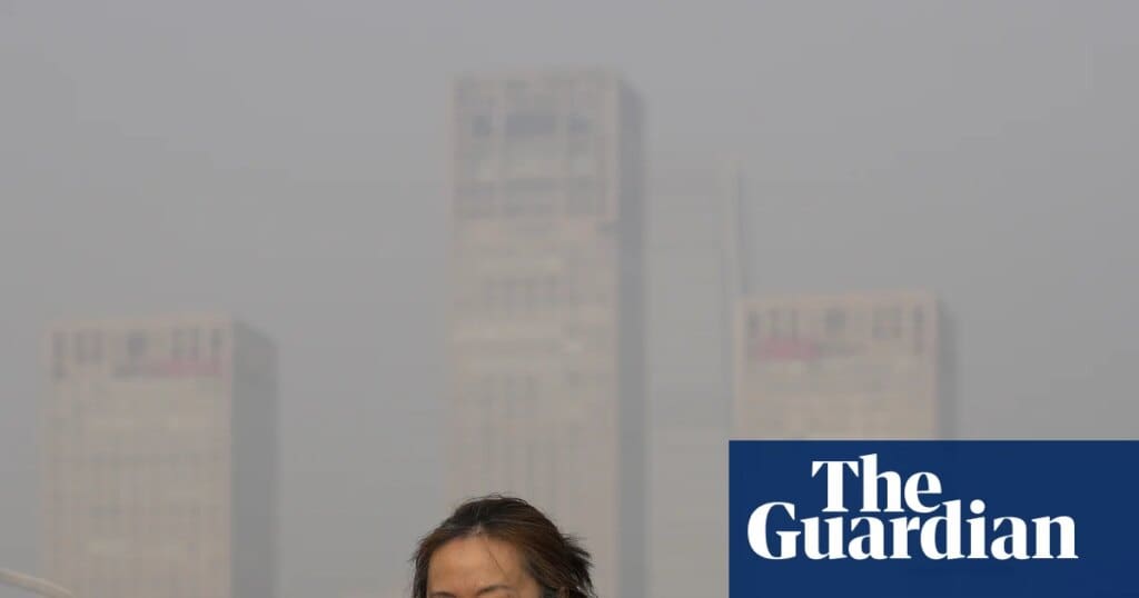 Frailty in ageing populations worsened by air pollution, global review finds | Air pollution