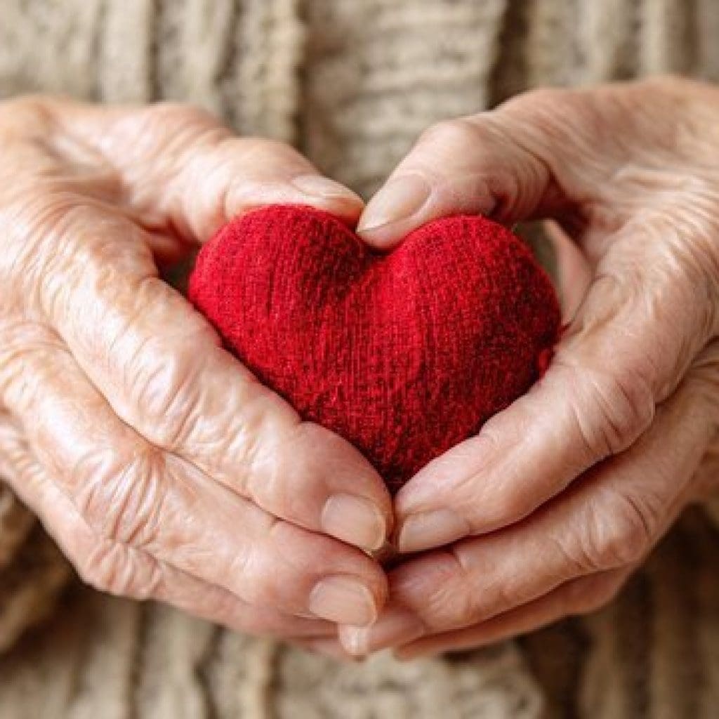 older hands forming a heart holding a red heart