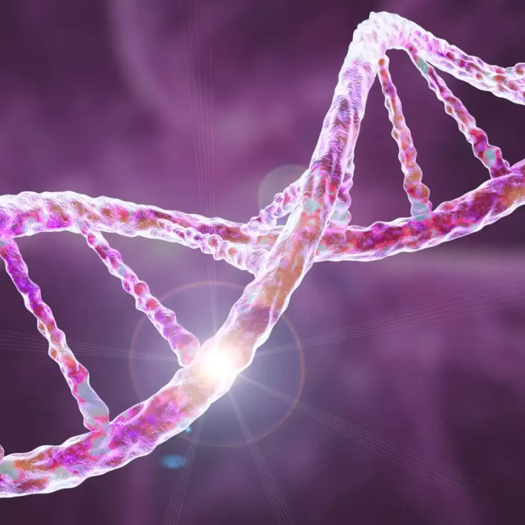 Unpicking the genetics of fibromyalgia sheds new light on its causes