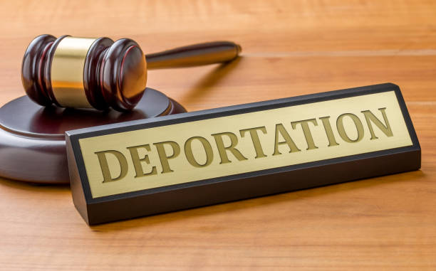 Two million undocumented immigrants gone in eight months Two million undocumented immigrants gone in eight months
