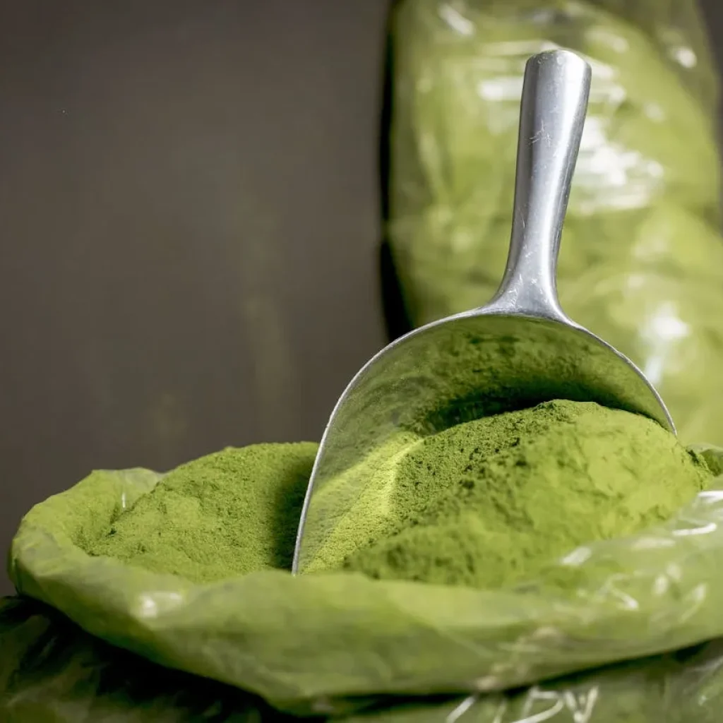 spotcovery-african-herbal-remedies-unlocking-the-healing-secrets-of-the-continents-natural-medicine