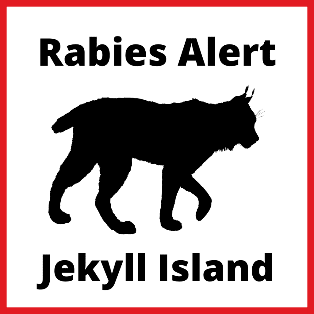 Bobcat on Jekyll Island Tests Positive for Rabies Bobcat on Jekyll Island Tests Positive for Rabies