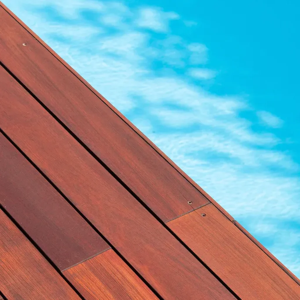 What's the Hardest Wood in the World?