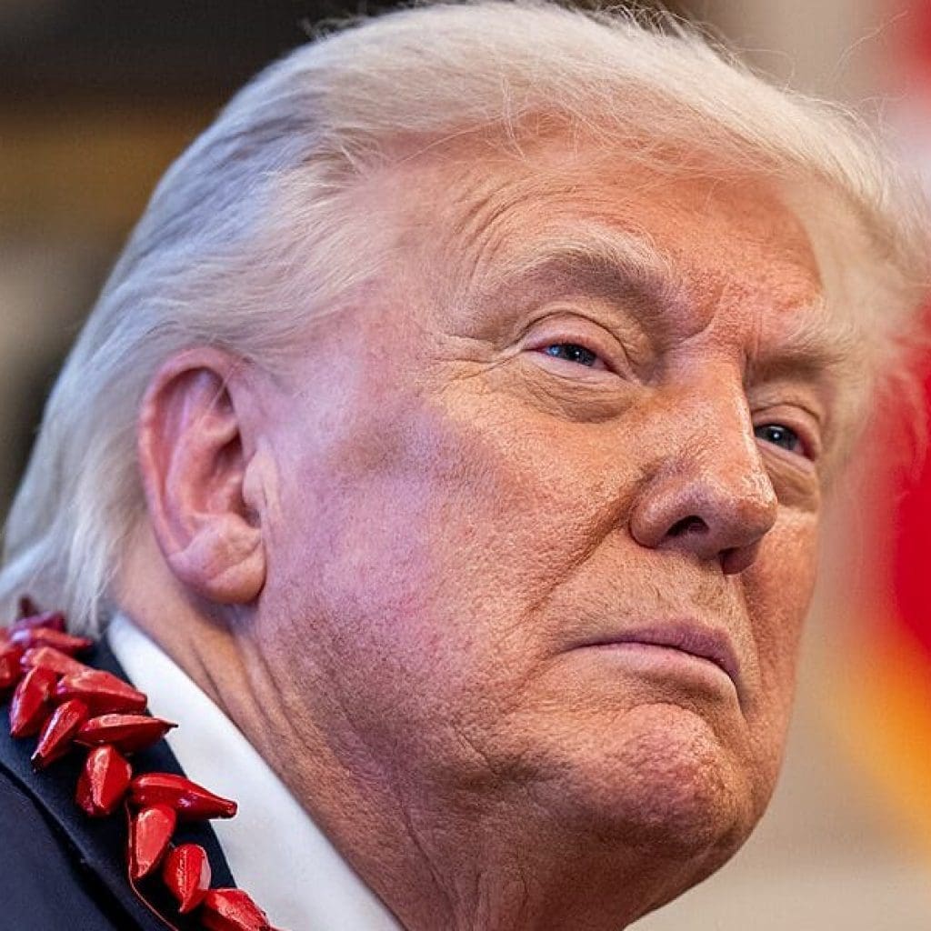 The Opportunity Cost of a Donald Trump Administration