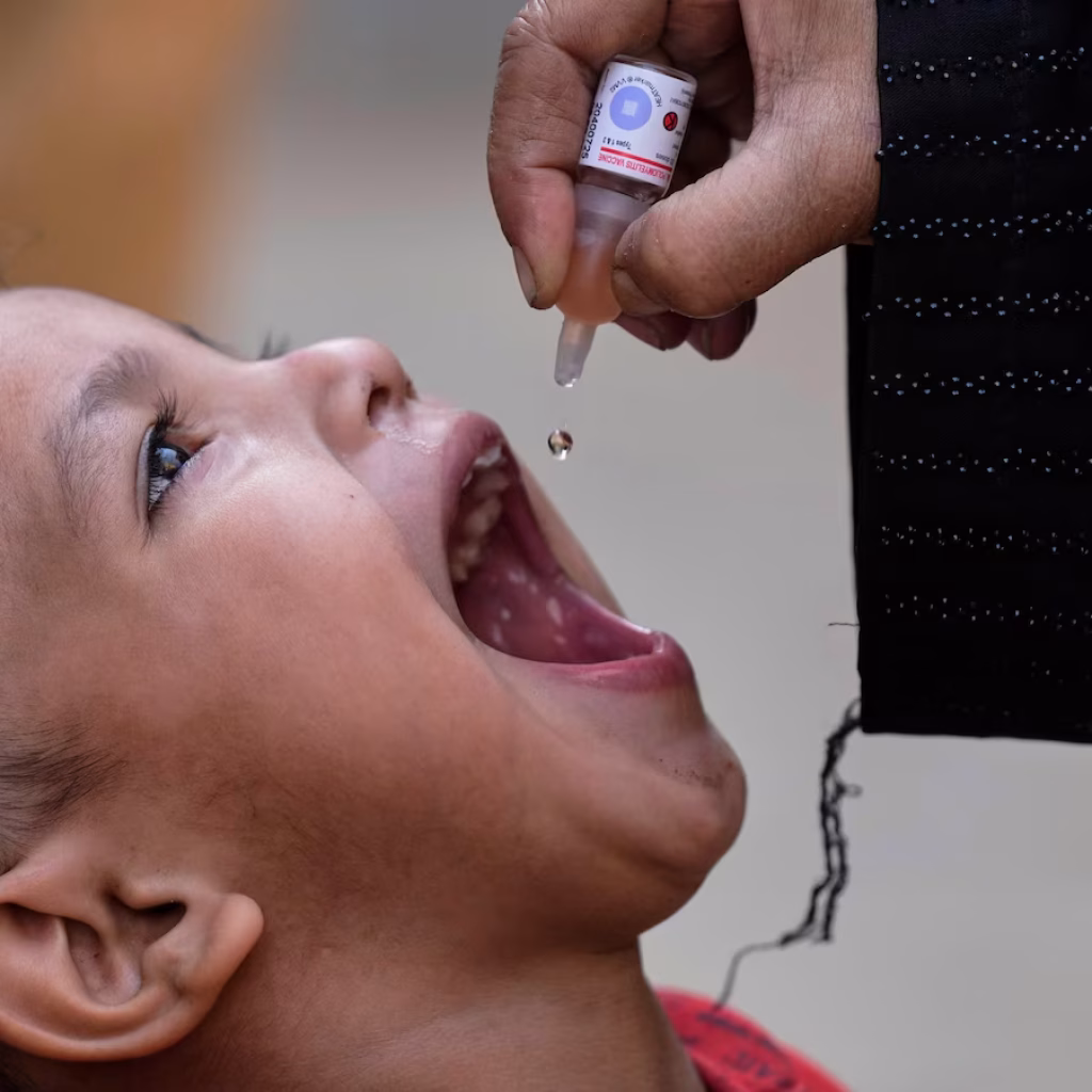 Pakistan's polio cases fell by half in 2025 despite attacks on vaccination teams