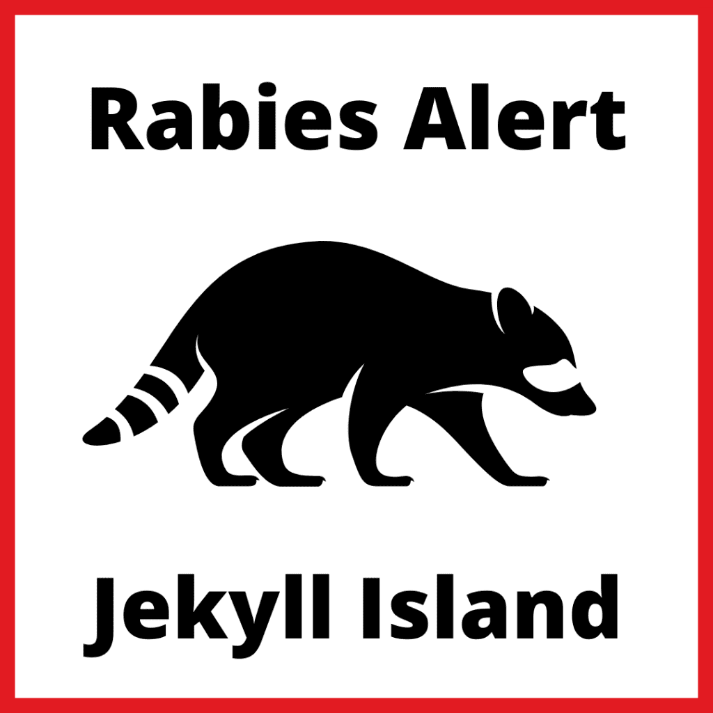 Raccoon on Jekyll Island Tests Positive for Rabies