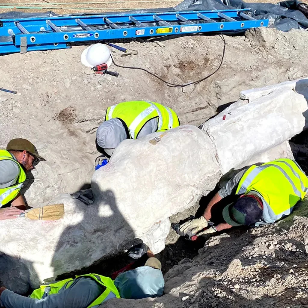 Dinosaur National Monument uncovers fossils for first time in century