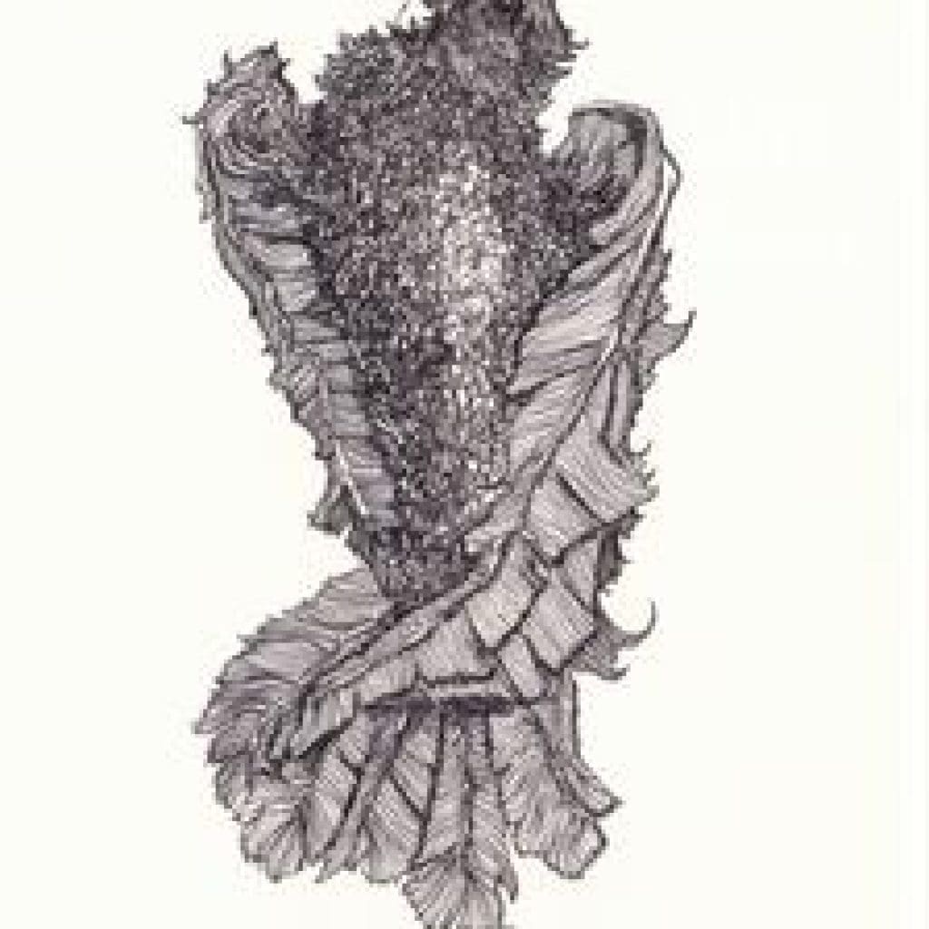 A review of Seang (Hungering) by Anne Casey – Compulsive Reader A review of Seang (Hungering) by Anne Casey – Compulsive Reader