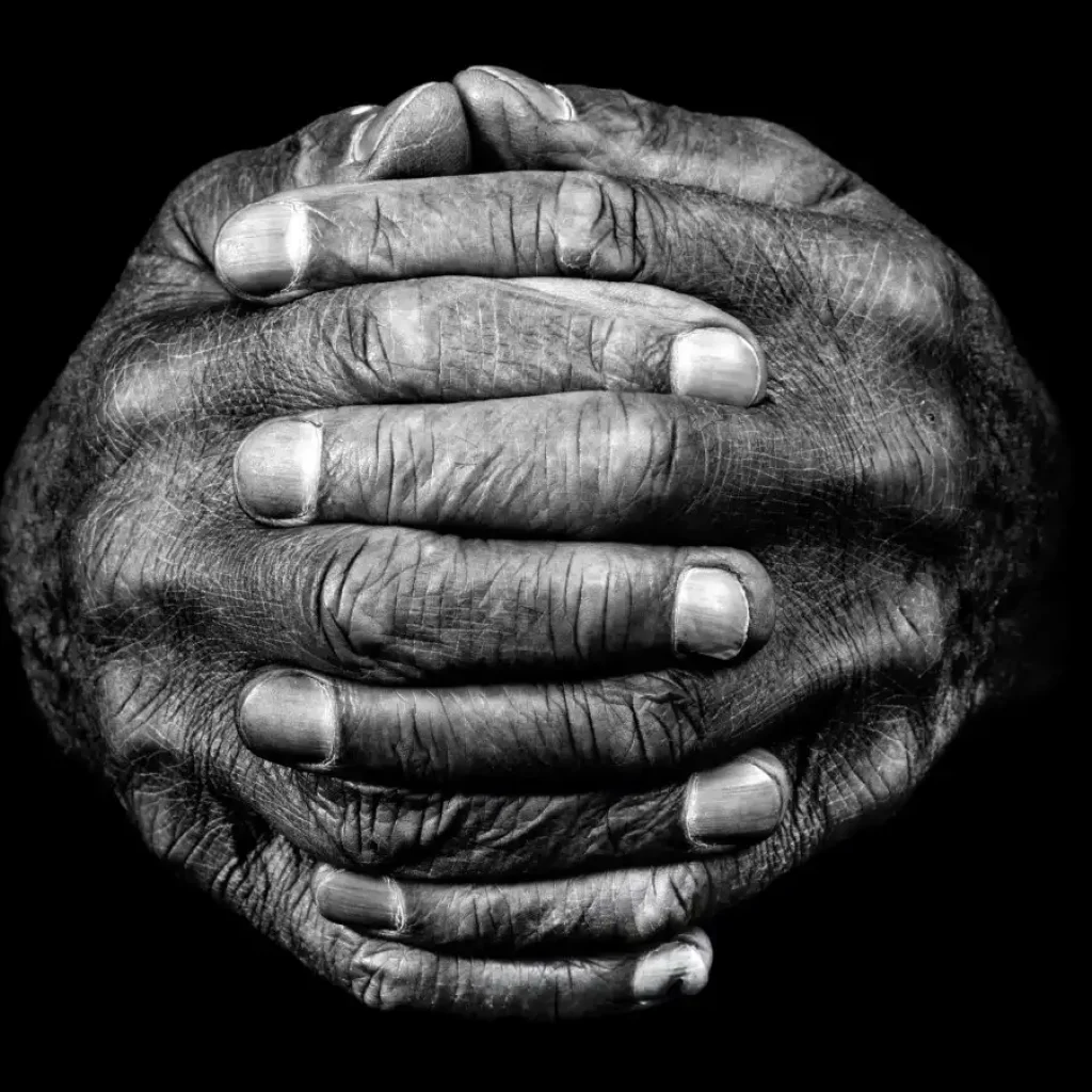The unimaginable tale of our impressive hands and just how they made us human Tim Booth Photography hand image - one-time use only