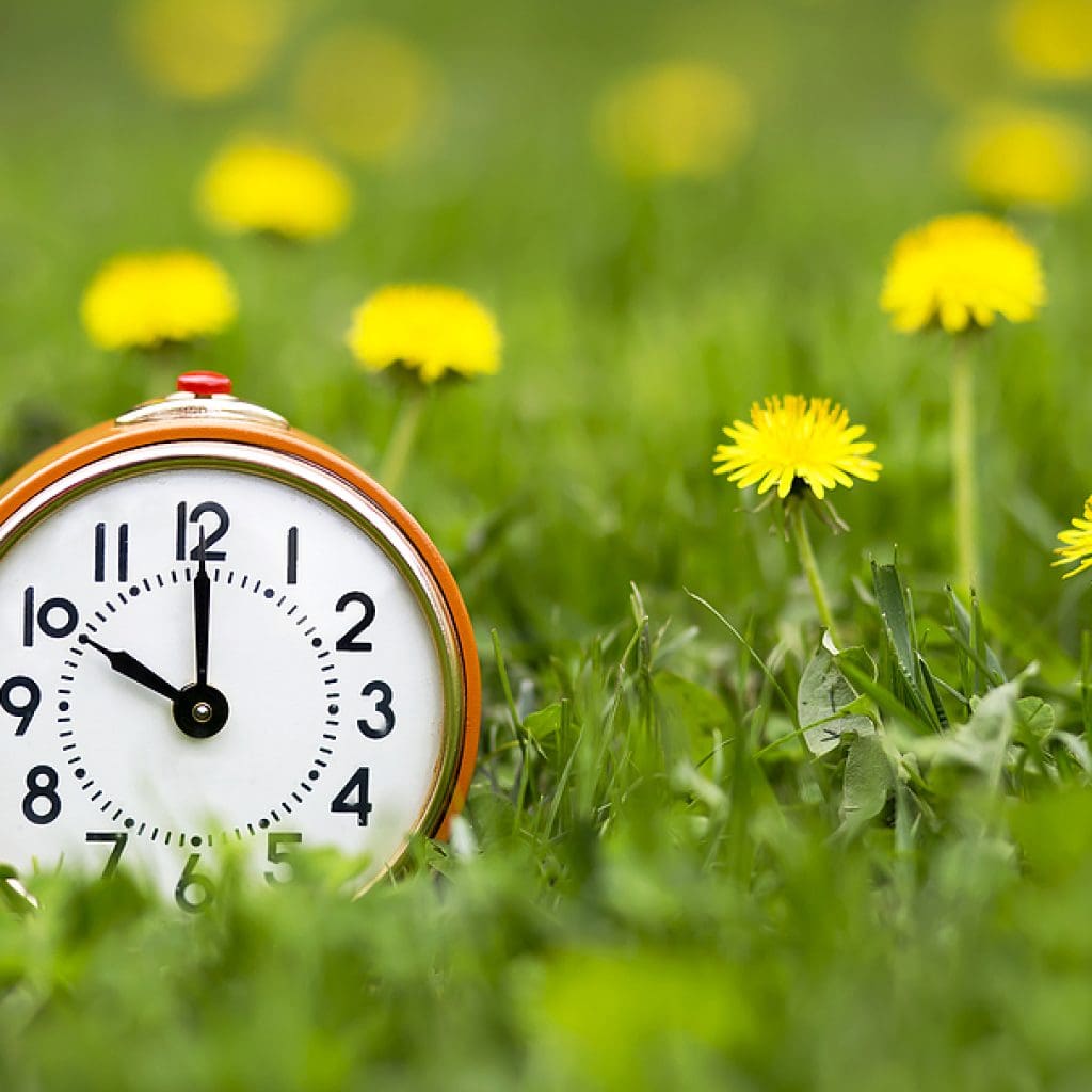 Springing Forward: Daylight Savings Tips for Seniors Orange clock in the grass with dandelions