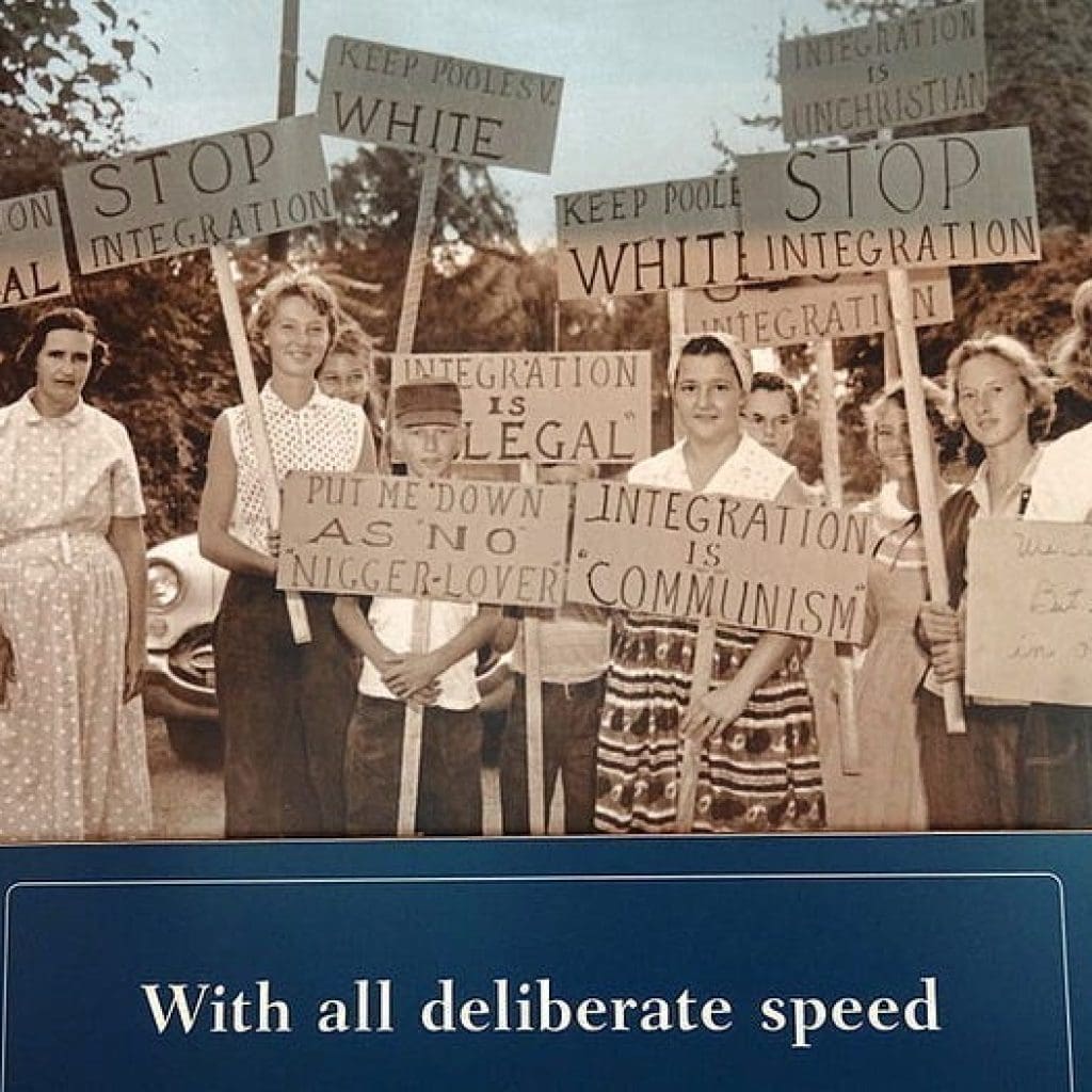 It Just Slipped on a New Outfit It Just Slipped on a New Outfit