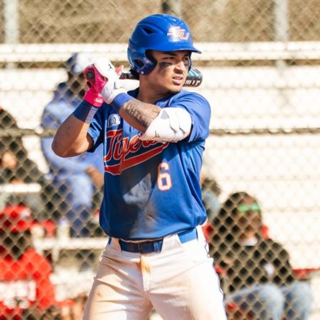 Savannah State Drops Series Finale At Spring Hill