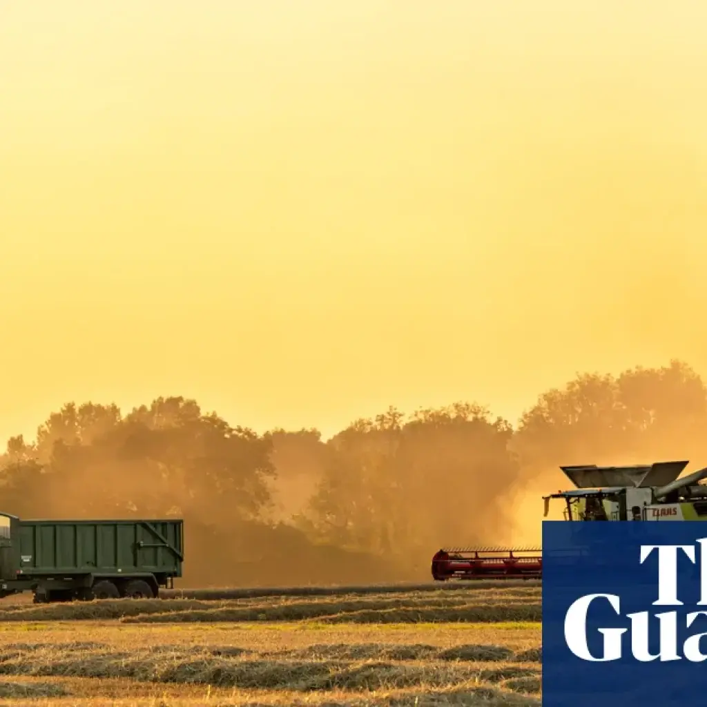 UK must stockpile food in readiness for climate shocks or war, expert warns | Food security