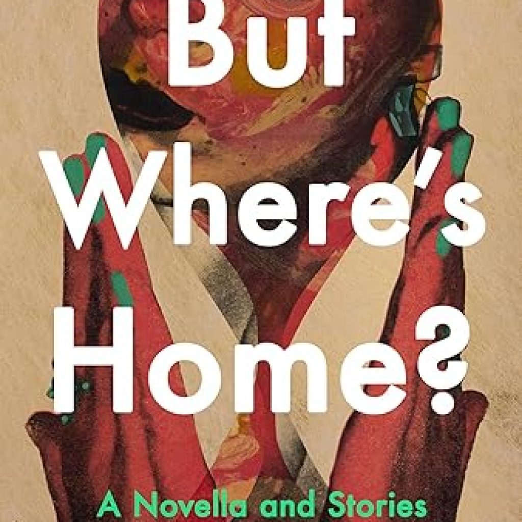 A Novella and Stories by Toni Ann Johnson – Compulsive Reader