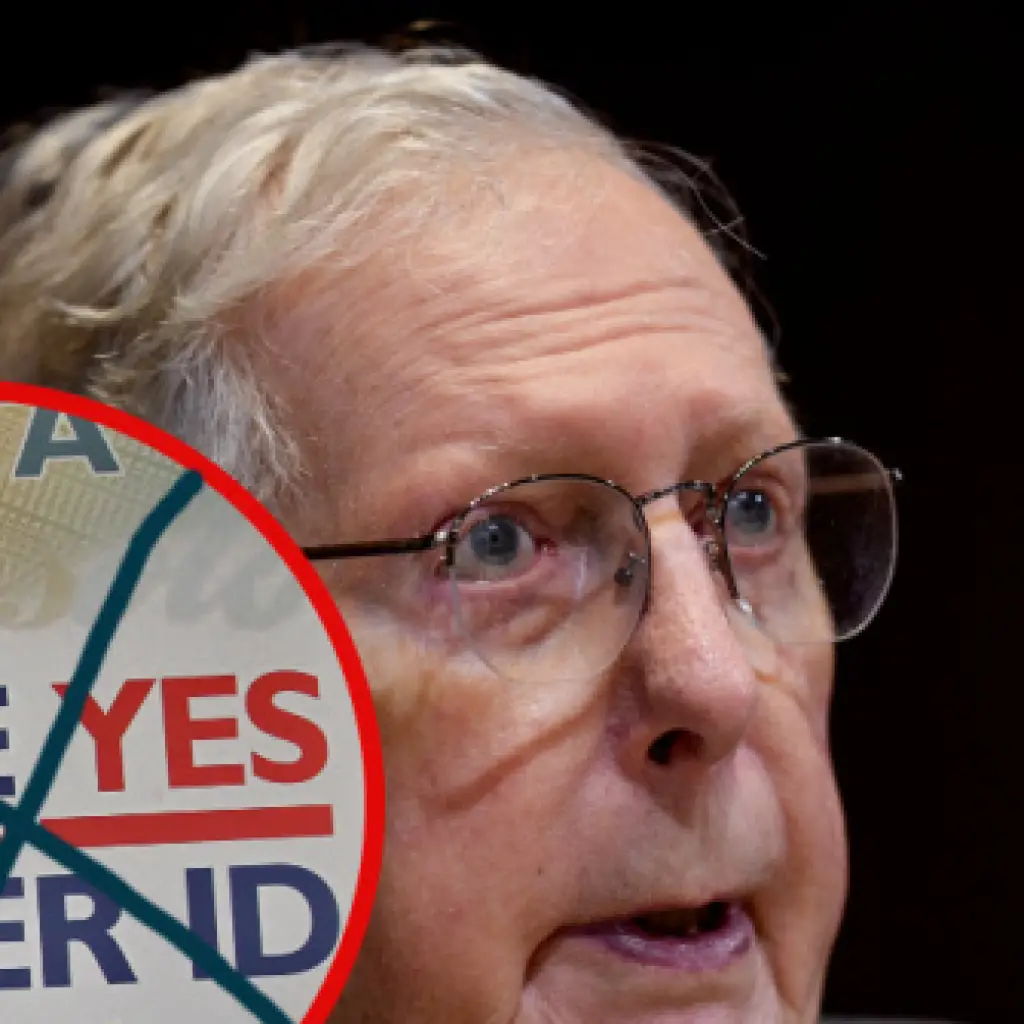 McConnell Doing Everything He Can to Block Voter ID