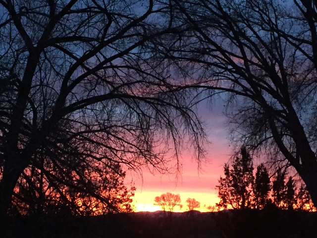 Born Again by Sara Wright – Feminism and Religion Born Again by Sara Wright – Feminism and Religion