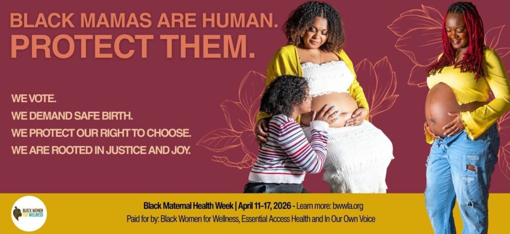 Black Mamas are Human Flyer